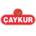 Çaykur