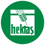 HEKTAŞ